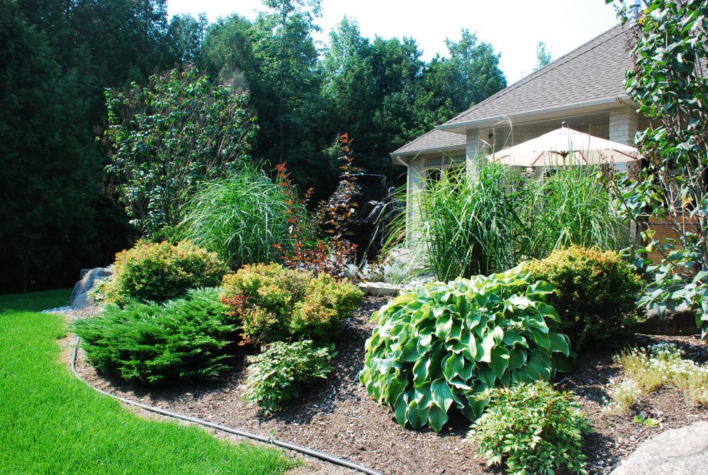 Home garden example - mulch