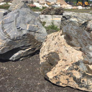 Accent Boulders