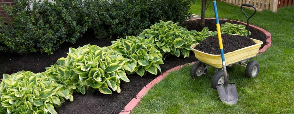 Does mulch offer new life to your flowerbeds? Does mulch keep the weeds at bay? Does mulch protect your soil from erosion and increase moisture retention? The answer to all these questions is here.