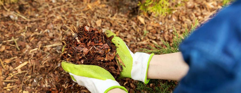 As the snow starts to melt, it is time to look around your yard and figure out what areas may need a little TLC this spring and summer.