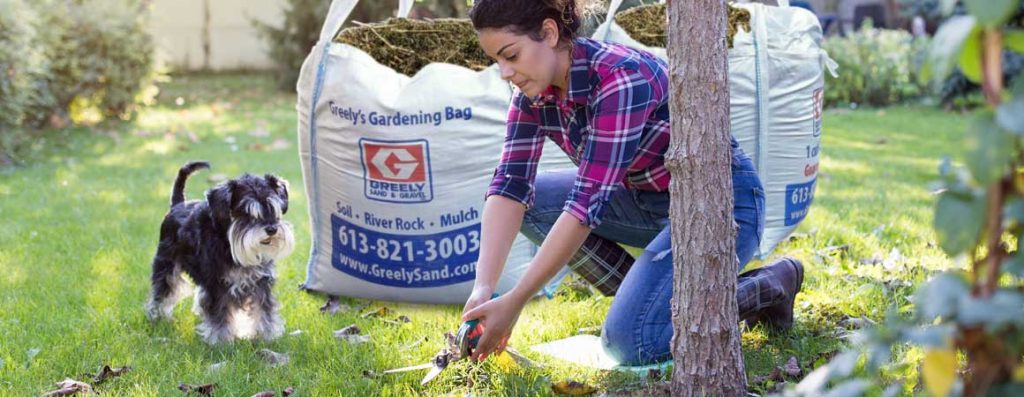 The cooler weather is a reminder to to do some yard cleanup for the upcoming winter season...to be ahead of the game come next spring.